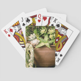 Baraja De Cartas Suculentas en una maceta de arcilla roja