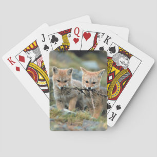 Baraja De Cartas Sudamérica, Chile, Torres del Paine Nacional