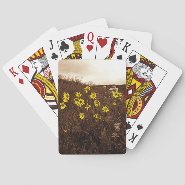 Baraja De Cartas Sunflower (Reverso)