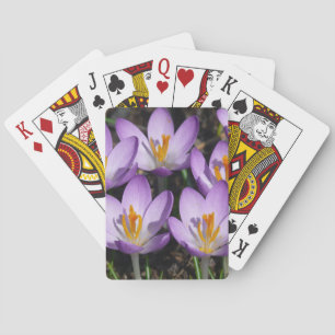 Baraja De Cartas Sunny Purple Crocuses
