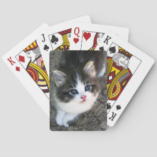 Baraja De Cartas SUPER CUTE Kitten