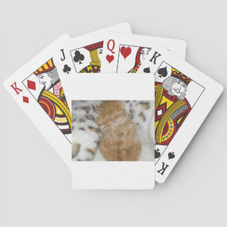 Baraja De Cartas Super Lindo Gatito Naranja Durmiendo