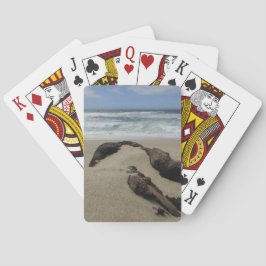 Baraja De Cartas Surf Sand and Driftwood West Coast Landscape Beach