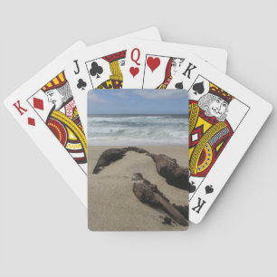 Baraja De Cartas Surf Sand and Driftwood West Coast Landscape Beach