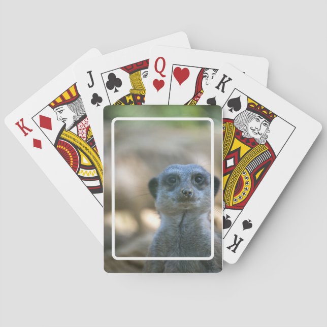 Baraja De Cartas Suricata Divertida (Reverso)