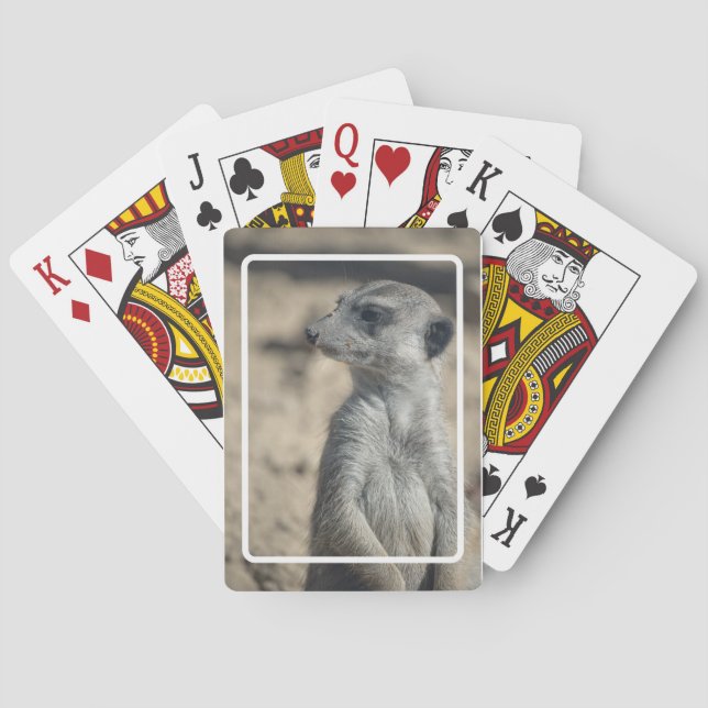 Baraja De Cartas Suricata divertida (Reverso)
