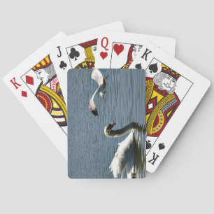 Baraja De Cartas Swan y Bird en el lago