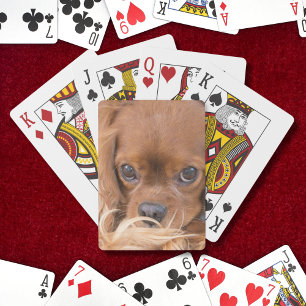 Baraja De Cartas Sweet Ruby Cavalier King Charles Spaniel
