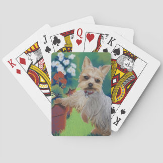 Baraja De Cartas Sweetness Yorkie