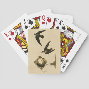 Baraja De Cartas Swift Audubon, estadounidense (chimenea), pájaros