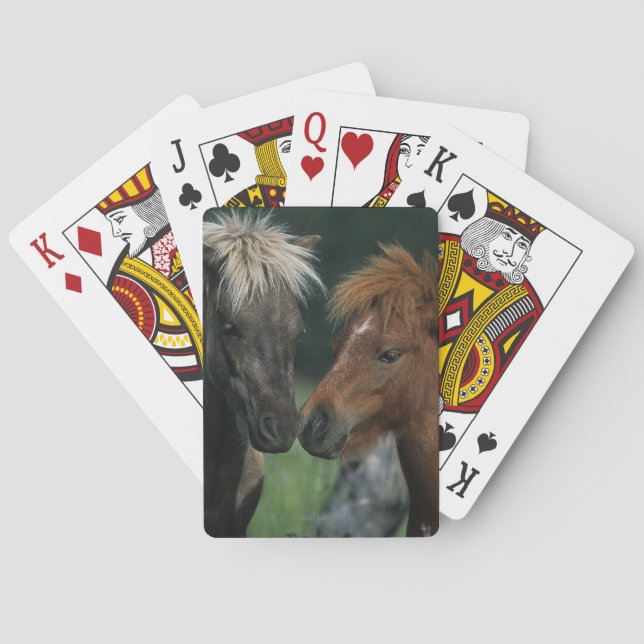 Baraja De Cartas Tacto miniatura de los caballos (Reverso)
