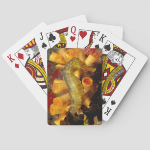Baraja De Cartas Tailandia, Caballito de Mar en Primer Plano
