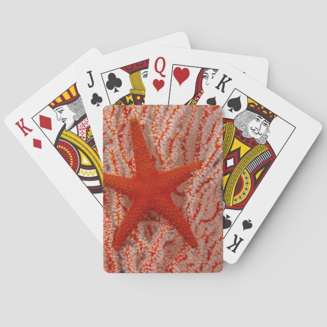 Baraja De Cartas Tailandia, Estrella de Mar (Reverso)