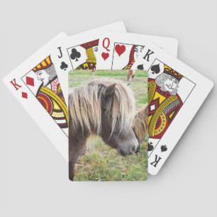Baraja De Cartas Tan Colorido Shetland Pony,