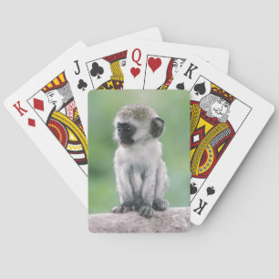 Baraja De Cartas Tanzania, cráter de Ngorogoro. Primer plano de vid