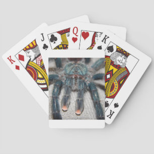 Baraja De Cartas tarántula azul