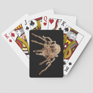 Baraja De Cartas Tarantula plain Playing Cards