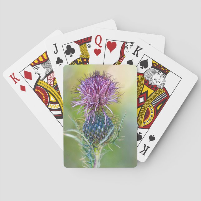 Baraja De Cartas Tarjeta de flor de silbido (Reverso)