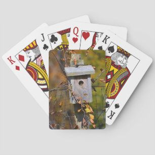Baraja De Cartas Tarjeta de juego Bird House