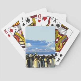 Baraja De Cartas Tarjeta de reproducción clásica