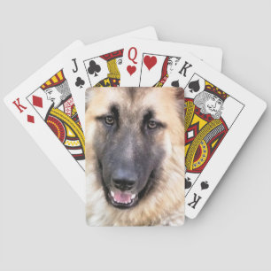 Baraja De Cartas Tarjeta SHEPHERD GERMAN