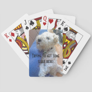 Baraja De Cartas Tarjetas de bicicleta de Lakeland terrier