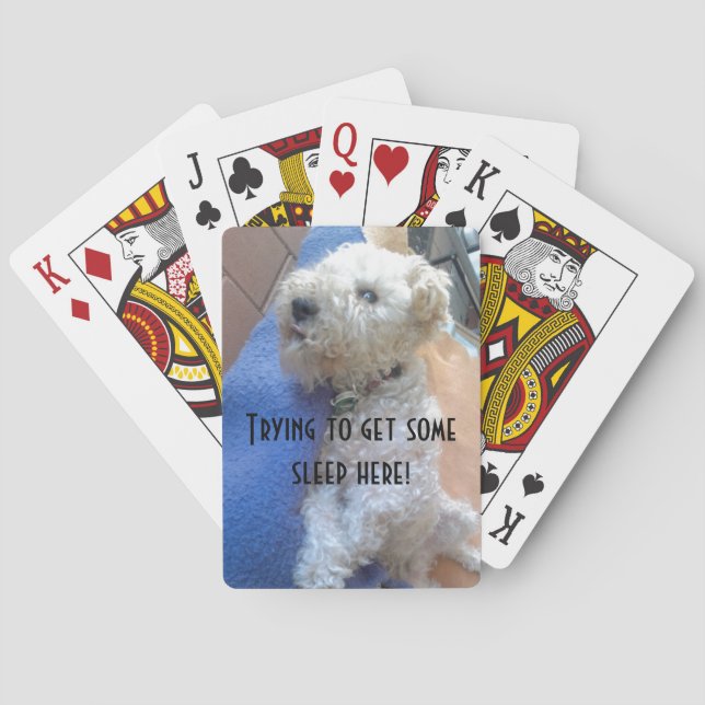 Baraja De Cartas Tarjetas de bicicleta de Lakeland terrier (Reverso)