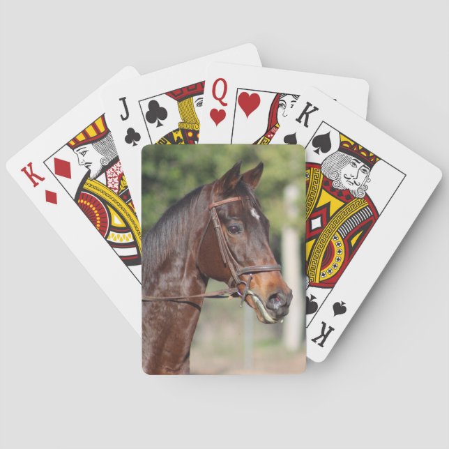 Baraja De Cartas Tarjetas de caballo (Reverso)
