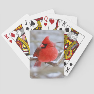 Baraja De Cartas Tarjetas_de_cardinales