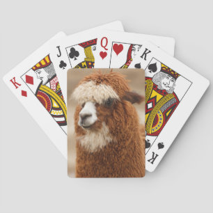 Baraja De Cartas Tarjetas de juego Alpaca
