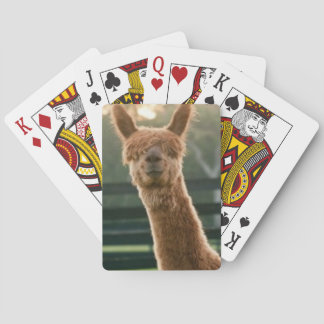 Baraja De Cartas Tarjetas de juego alpaca sonrientes