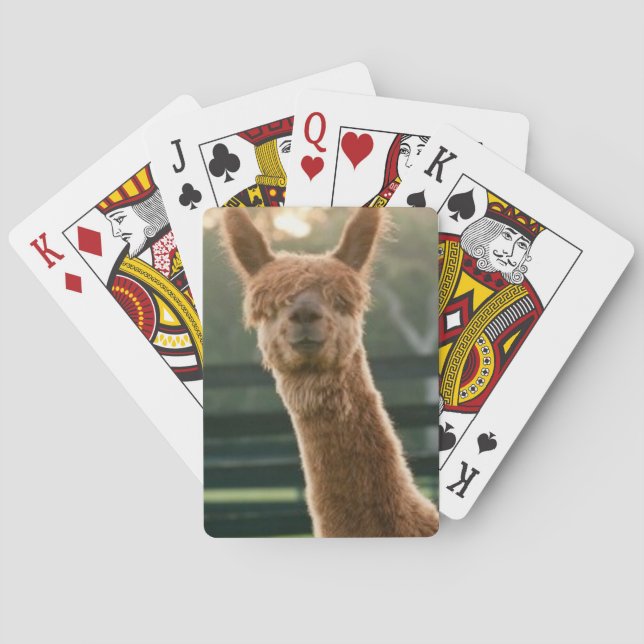 Baraja De Cartas Tarjetas de juego alpaca sonrientes (Reverso)