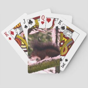 Baraja De Cartas Tarjetas de juego clásicas Squirrel Winter Photo