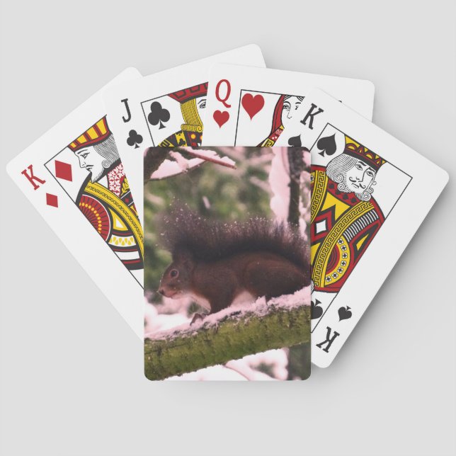 Baraja De Cartas Tarjetas de juego clásicas Squirrel Winter Photo (Reverso)