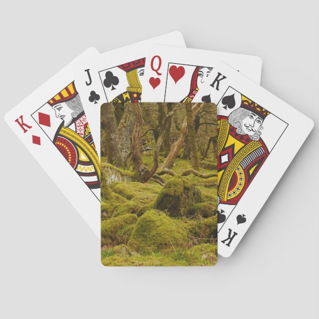 Baraja De Cartas Tarjetas de juego Dartmoor Woodland (Reverso)