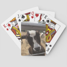 Tarjetas de juego de cabra