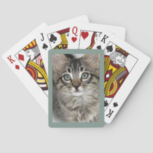 Baraja De Cartas Tarjetas de juego de cierre de gatito