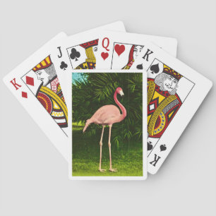 Baraja De Cartas Tarjetas de juego de flamenco rosado hermosamente