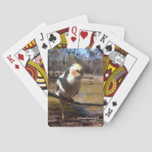 Tarjetas de juego de gallos
