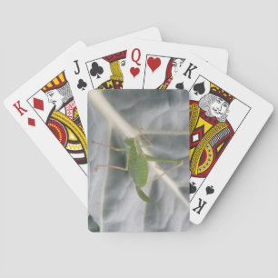 Baraja De Cartas Tarjetas de juego de macro para el críquet verde