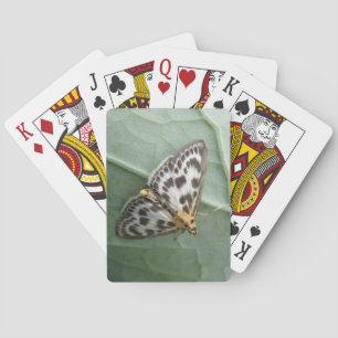 Baraja De Cartas Tarjetas de juego de malla magpie pequeñas