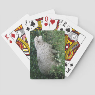 Baraja De Cartas Tarjetas de juego de ovejas codiciosas