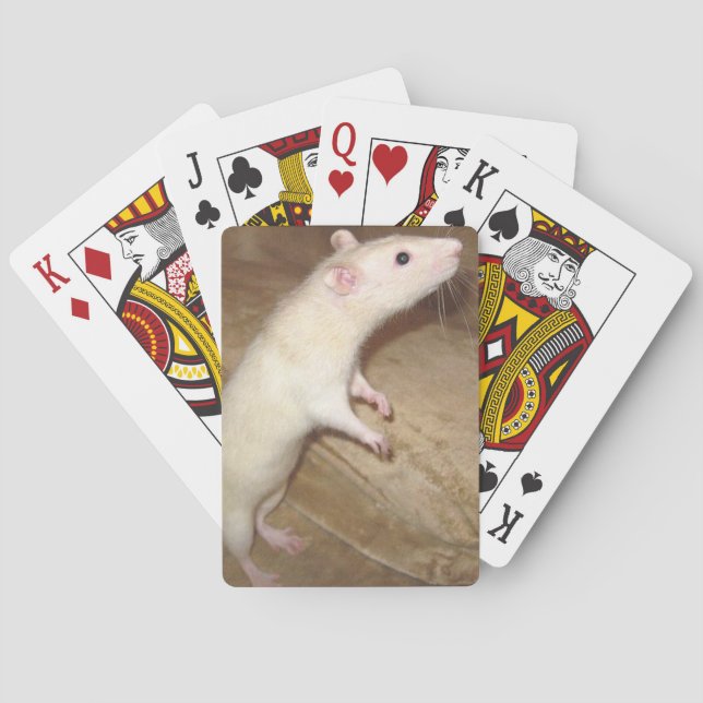 BARAJA DE CARTAS TARJETAS DE JUEGO DE RATAS DE BAILE (Reverso)