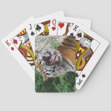 Tarjetas de juego de tigre