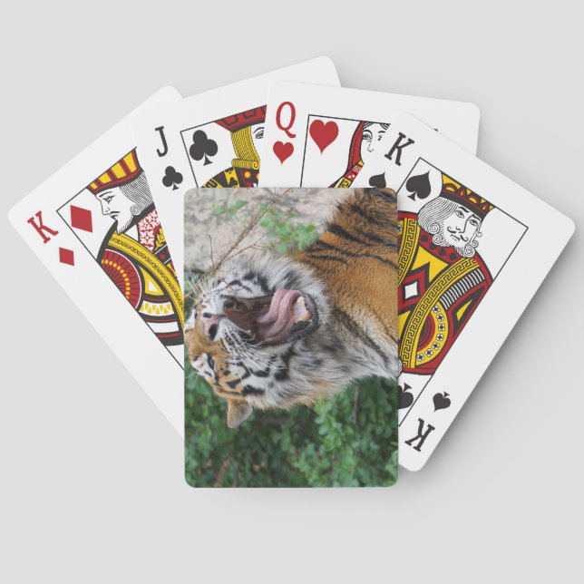 Baraja De Cartas Tarjetas de juego de tigre (Reverso)