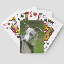 Tarjetas de juego de Whippet