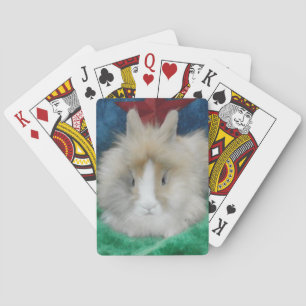 Baraja De Cartas Tarjetas de juego Fluffy Lionhead Bunny Rabbit