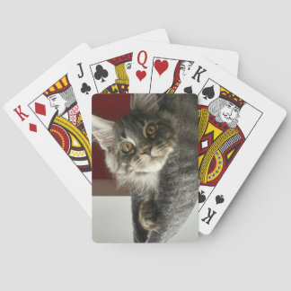 Baraja De Cartas Tarjetas de juego Maine Coon Kitten