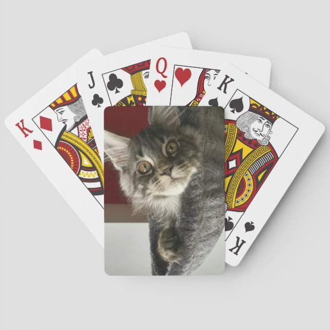 Baraja De Cartas Tarjetas de juego Maine Coon Kitten (Reverso)
