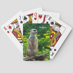 Baraja De Cartas Tarjetas de juego Meerkat
